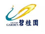 工业园区碧桂园地产